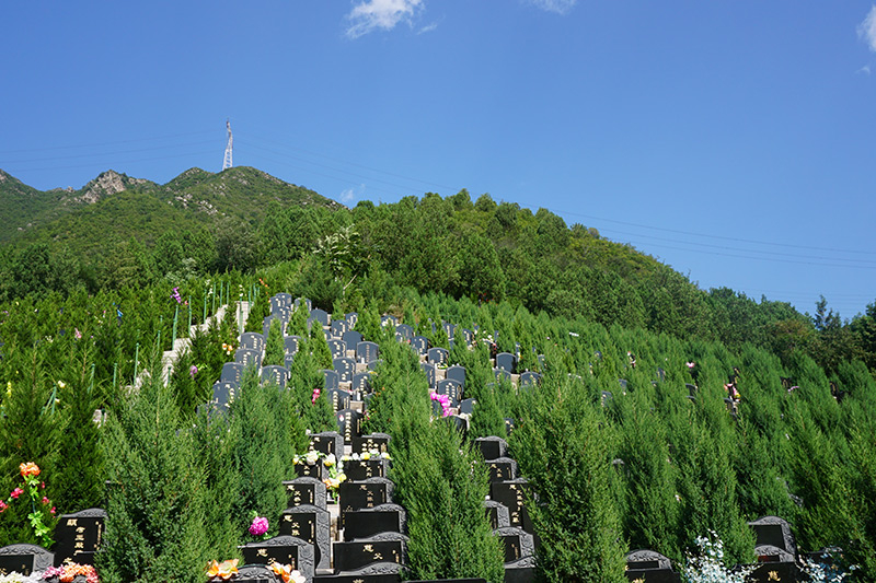 八宝山殡仪馆有几个火化炉？如何预约？